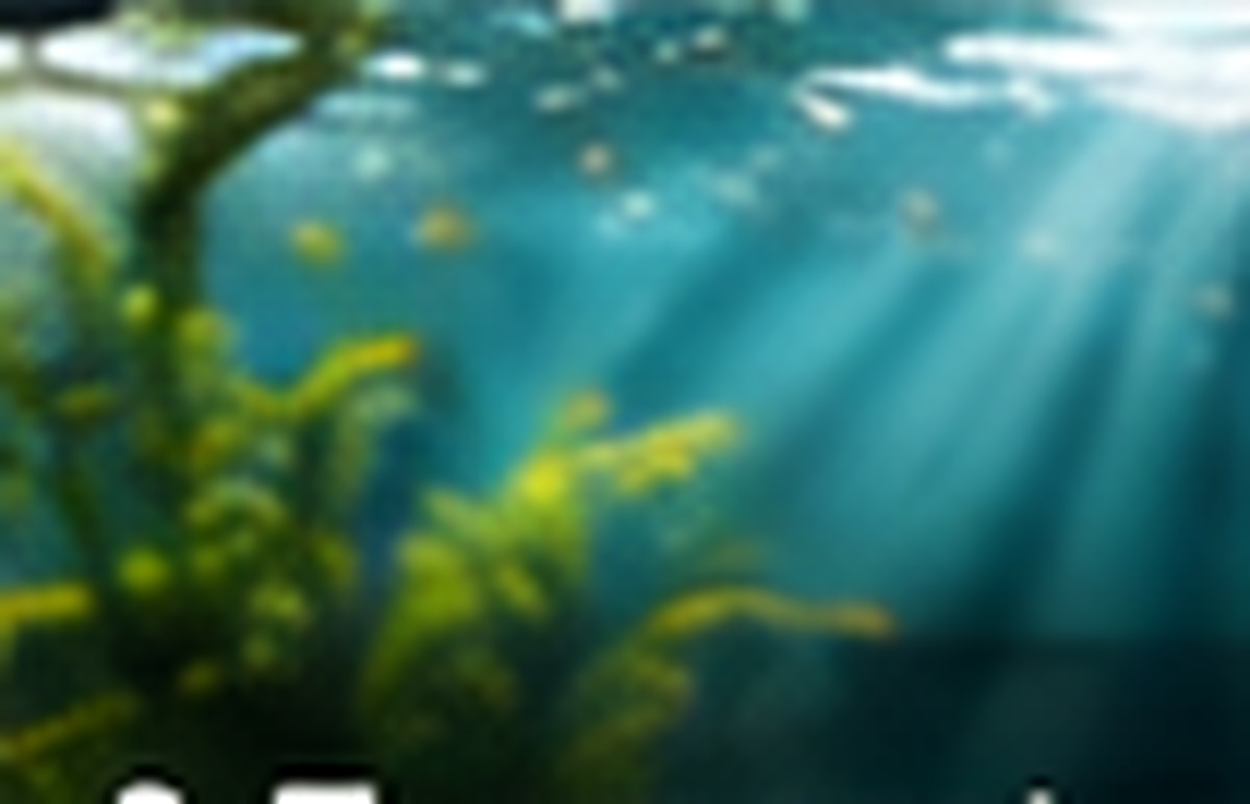 Temperaturtechnik in einem bepflanzten Aquarium