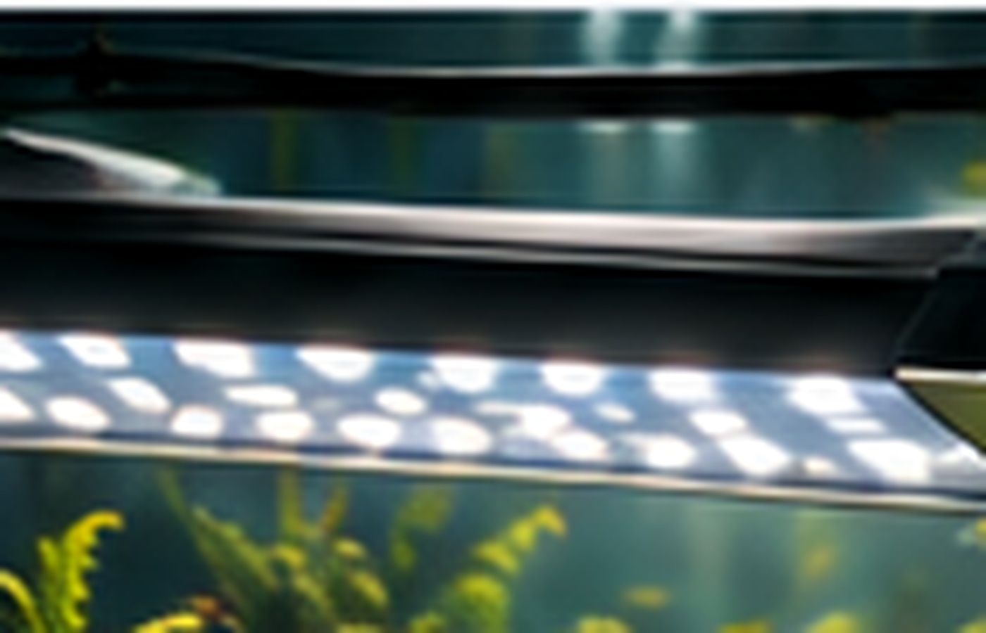 LED-Beleuchtung über einem bepflanzten Aquarium